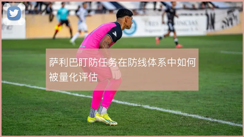 萨利巴盯防任务在防线体系中如何被量化评估