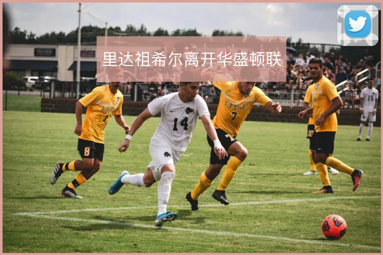 里达祖希尔离开华盛顿联